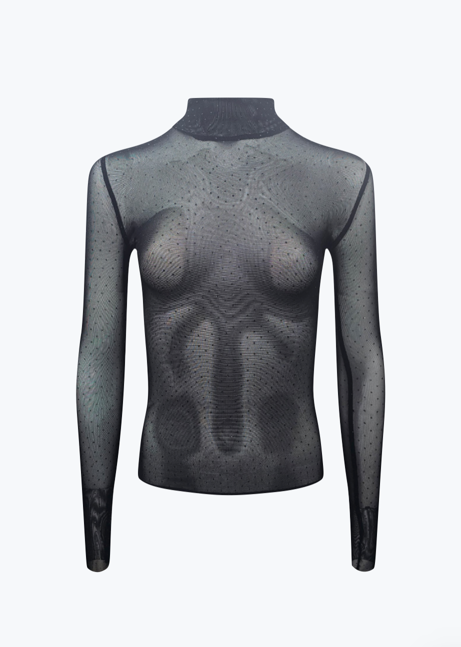 Ayla Long Sleeve Tulle Top