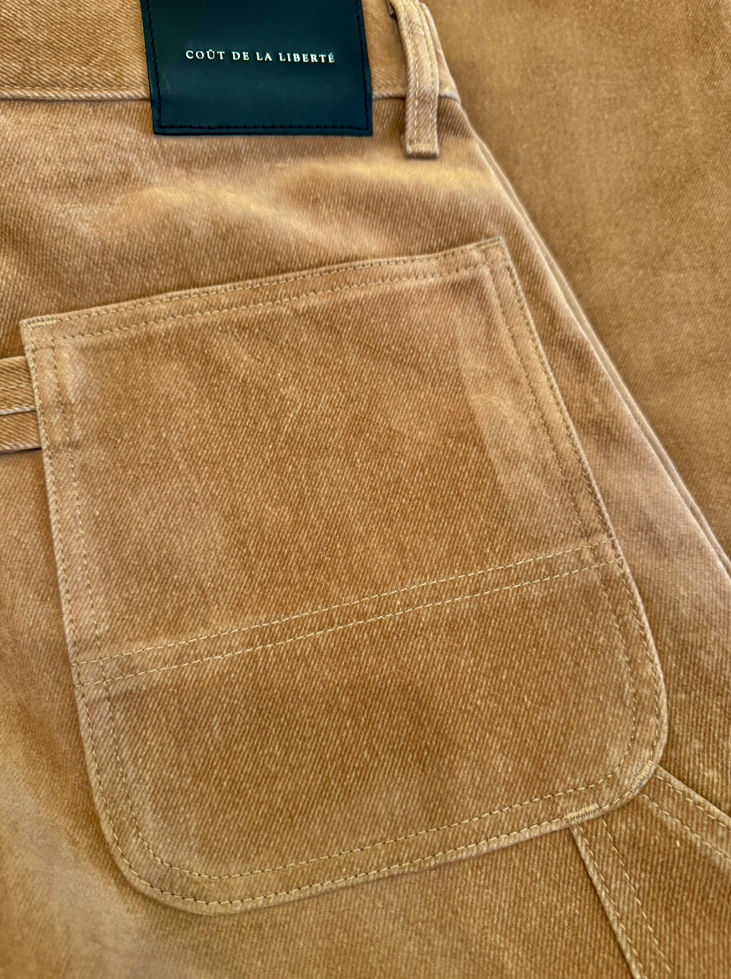 Marshall Sueded Twill Carpenter Pants