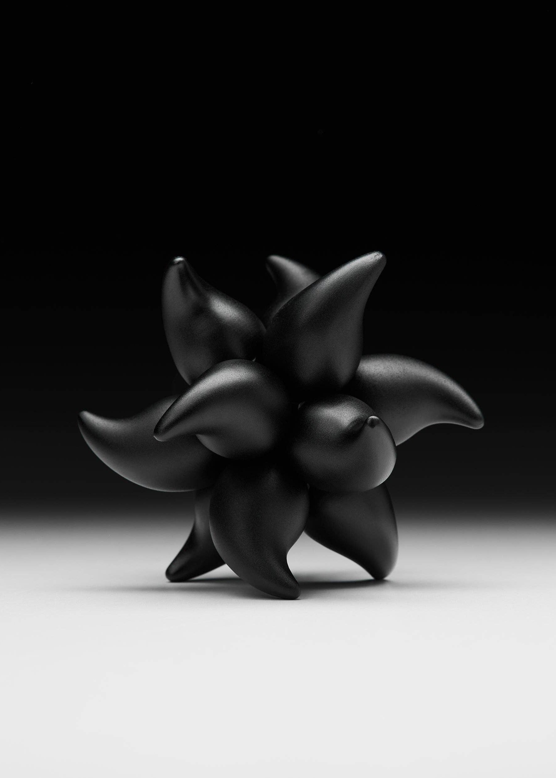 craighill Andromeda Puzzle