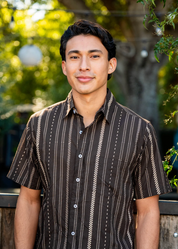 person wearing dushyant mens 'The Folk' Short Sleeve Pocket Shirt in Chocolate Stripes