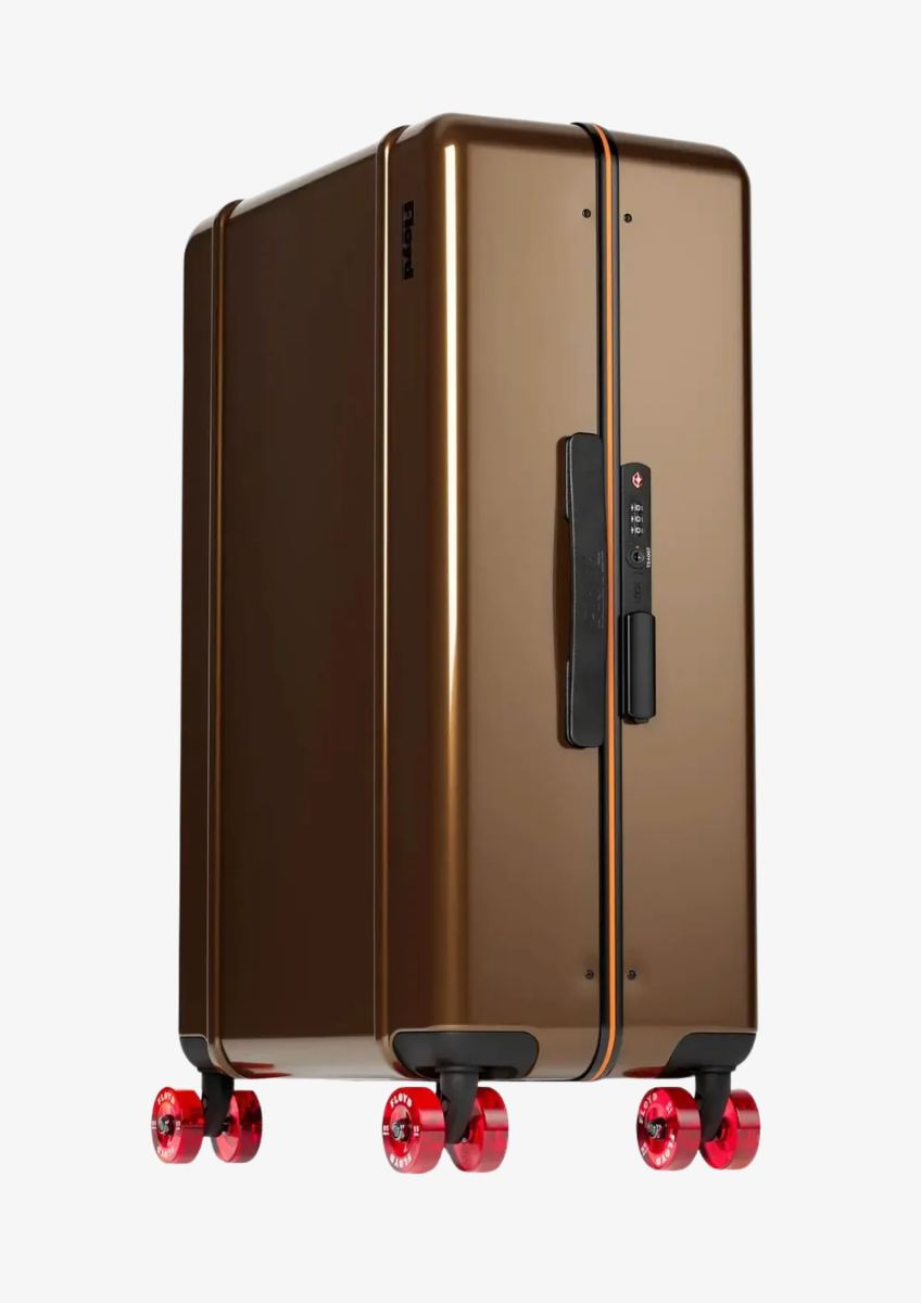 floyd Check-In Luggage in Bronco Brown