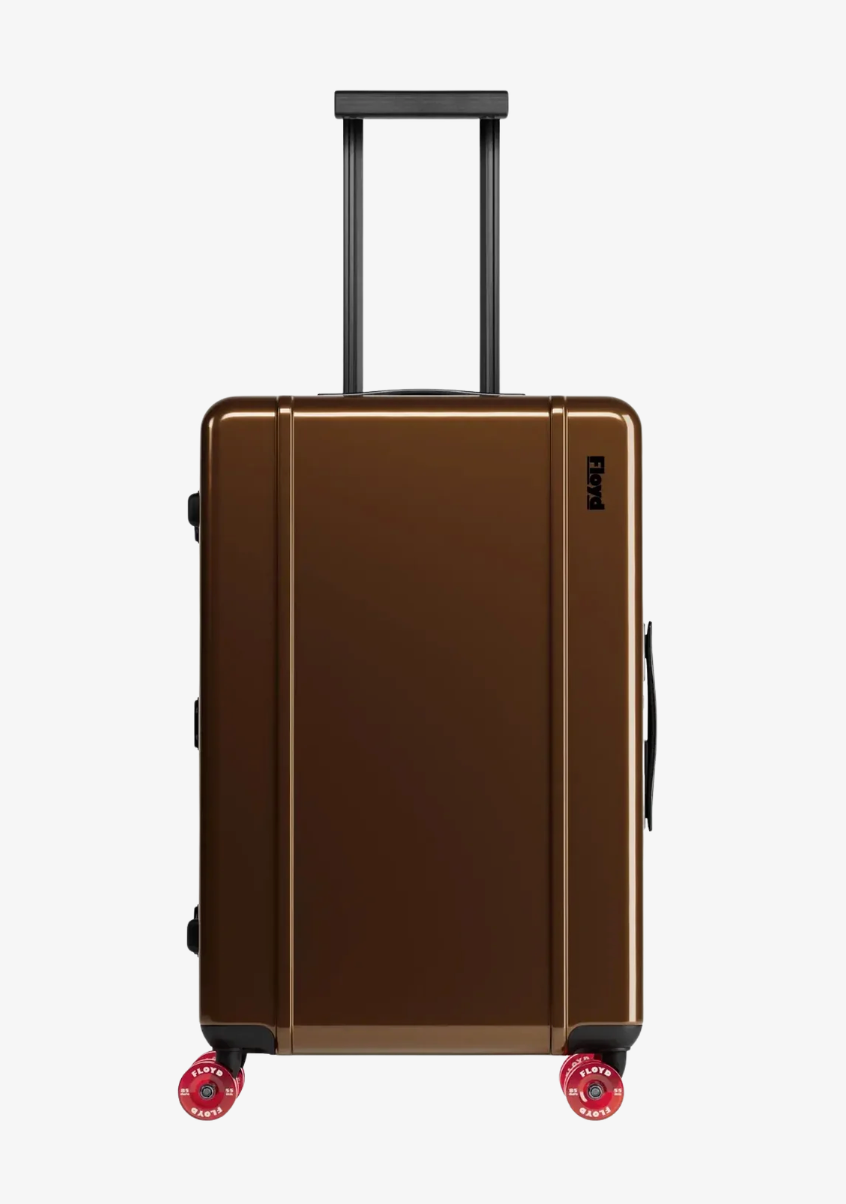 floyd Check-In Luggage in Bronco Brown