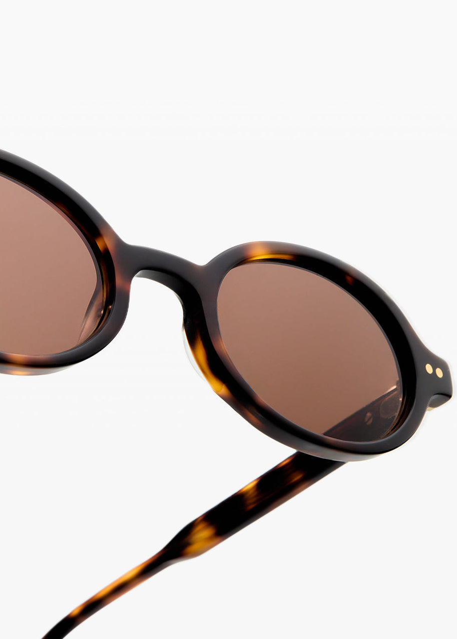 jimmy fairly paris sunglasses The Elvie in Dark Tortoise