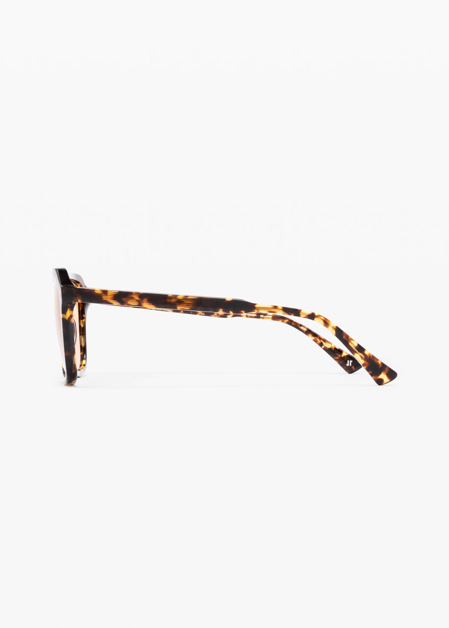 jimmy fairly paris unisex sunglasses The Elma in Dark Tortoise