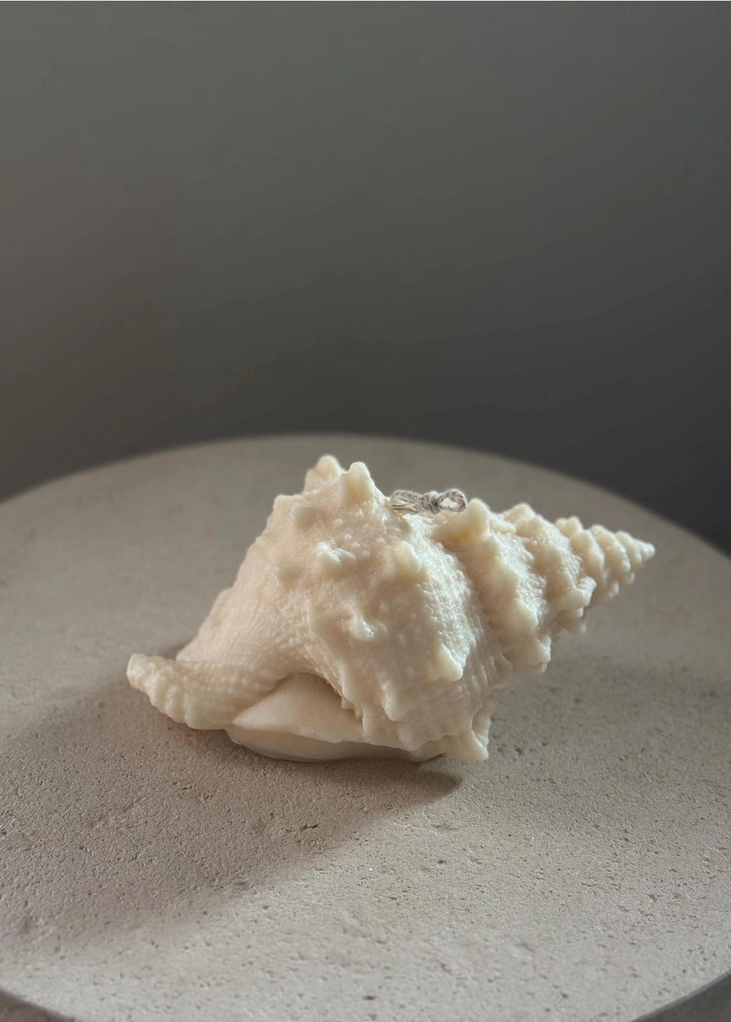 mikuni Jumbo Sea Shell Candle handcarved soy wax