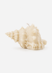 mikuni Jumbo Sea Shell Candle handcarved soy wax
