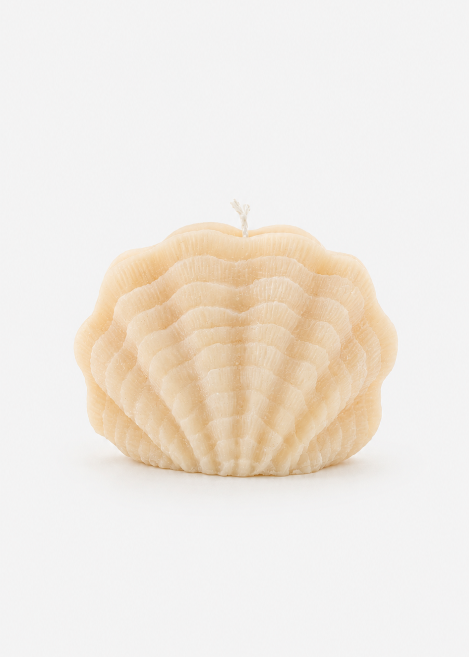 mikuni Sea Shell Candle handcarved soy wax